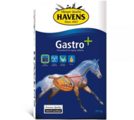 Havens Gastro+ 20kg